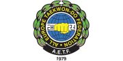 All Europe Taekwon-Do Federation (AETF)